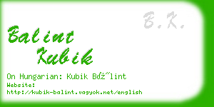 balint kubik business card